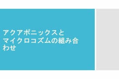 スライド1