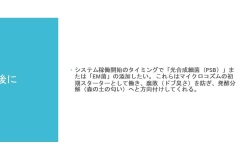 スライド10
