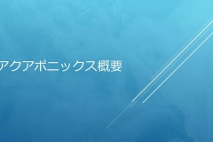 スライド1