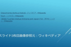 スライド15