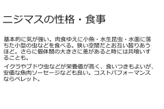 スライド4